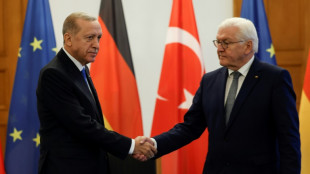 Kebab au menu d'une délicate visite du président allemand en Turquie