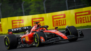 Leclerc é o mais rápido no 2º treino livre do GP da Hungria de F1