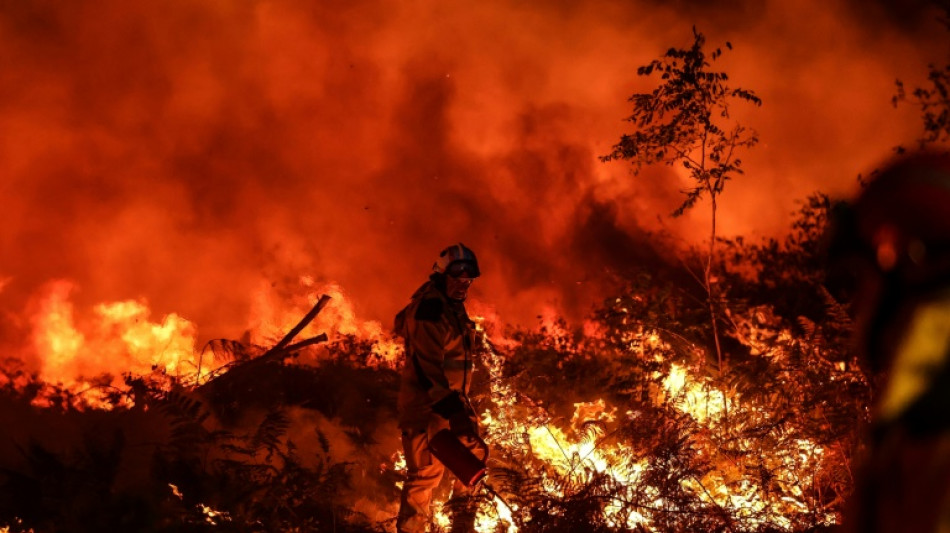 Europe's record 2022 wildfires sent carbon emissions soaring: monitors 