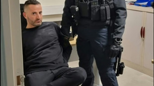 Un "peligroso" capo de la mafia italiana y su brazo derecho, detenidos en Francia y España