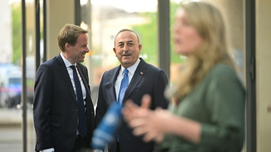 Cavusoglu bekräftigt Vorbehalte gegen Nato-Beitritt Schwedens und Finnlands