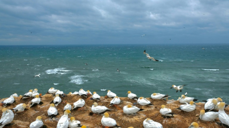 Drittwärmstes Jahr seit Messbeginn: Temperatur in Nordsee 2023 erneut sehr hoch