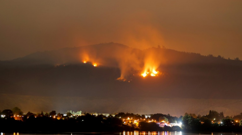 Incendies au Chili: couvre-feu décrété dans les zones les plus touchées 