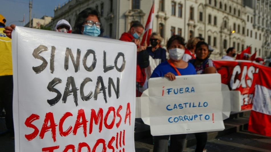 Hunderte Demonstranten fordern Rücktritt von Perus Präsident Castillo