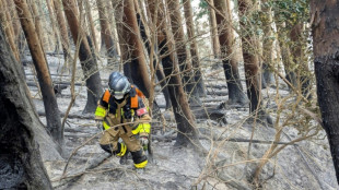 Schnee in Waldbrandgebiet in Japan weckt Hoffnung auf Erfolge bei Löscharbeiten