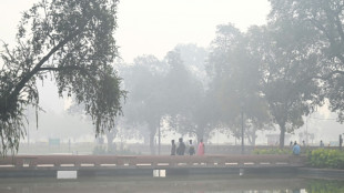 Des niveaux de pollution "dangereux" à Delhi dus aux brûlages agricoles 