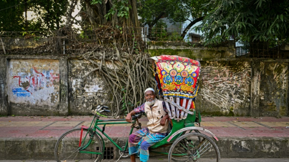 Fading colours: Bangladesh's threatened rickshaw art