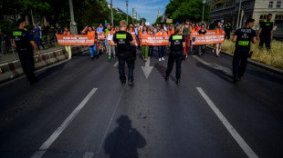 Activistas medioambientales interrumpen el tráfico en dos aeropuertos en Alemania