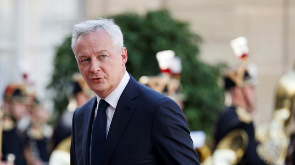 Le Maire s'engage à faire baisser de 10 à 15% la facture d'électricité en février 2025