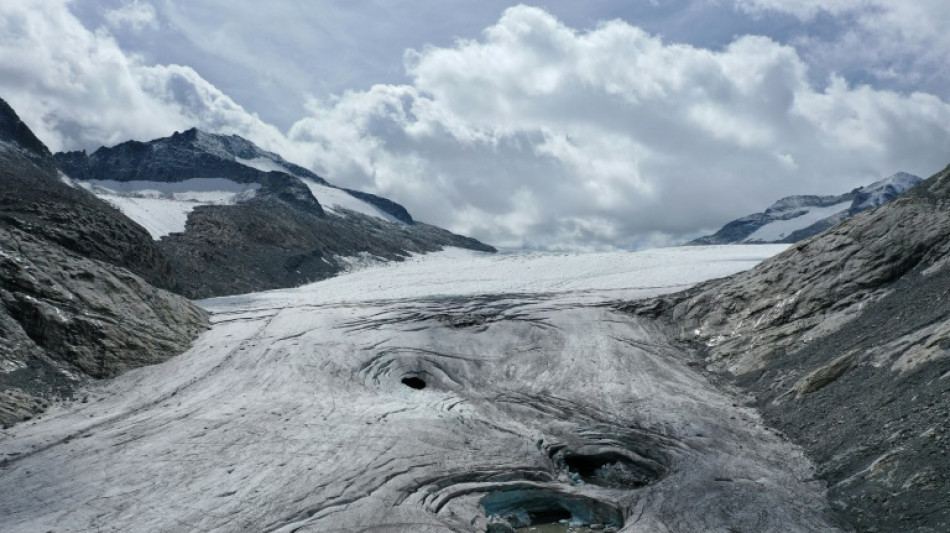 Au chevet de l'Adamello, le plus grand glacier des Alpes italiennes