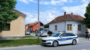 Verfolgungsjagd von Lieferwagen mit Polizei: 14 Migranten in Kroatien verletzt