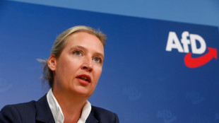 AfD-Chefin Weidel trifft Le Pen und RN-Chef Bardella in Paris