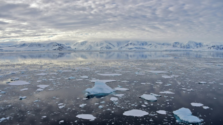 Experten vermelden Rekordtemperaturen in der Antarktis