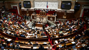 L'Assemblée adopte au bout de la nuit le projet de loi pouvoir d'achat