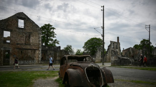 Steinmeier und Macron gedenken  SS-Massakers in Oradour-sur-Glane