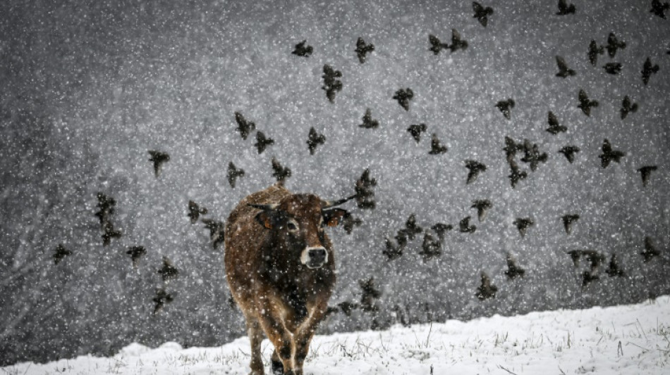  Neige, froid et vent : l'hiver s'invite en France tôt dans la saison 