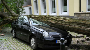 Mehrere Verletzte durch Sturmtief "Bernd" in Norden und Westen Deutschlands