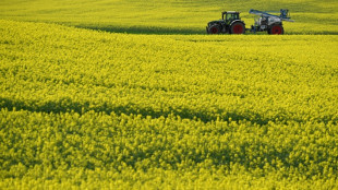 FDP und Özdemir-Ministerium weisen sich gegenseitig Schuld für Agrarkürzung zu