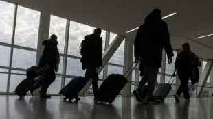 Bagages payants: les "recettes annexes", cruciales pour les compagnies aériennes