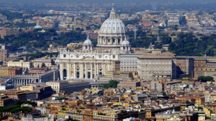 Homem força entrada do Vaticano com carro