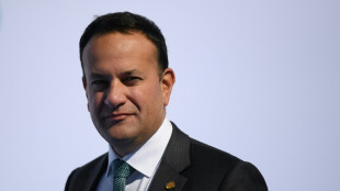 Irischer Regierungschef Varadkar kündigt Rücktritt an