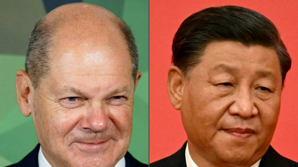 Scholz spricht mit Xi über Lage in Nahost und wirtschaftliche Zusammenarbeit