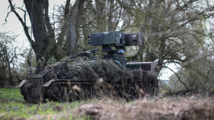 Högl fordert nötige Haushaltsmittel für Ausstattung der Brigade in Litauen