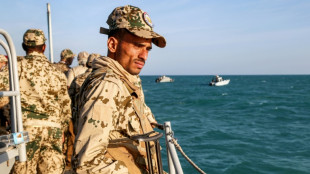 Les Houthis revendiquent une attaque contre un cargo en mer Rouge