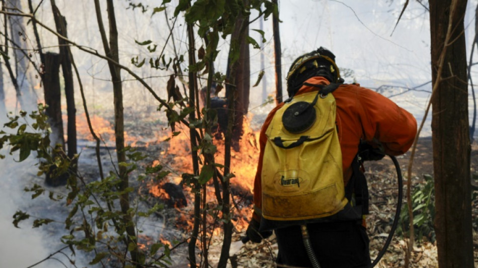 Brazil braces for more fires amid extreme low humidity