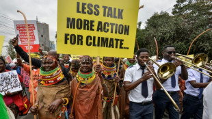 Billions pledged for green development at Africa climate talks