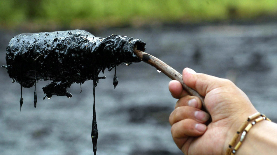 In Ecuador nascono i 'toxitour' sull'inquinamento in Amazzonia