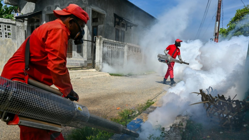 L'OMS lance la lutte mondiale contre la dengue