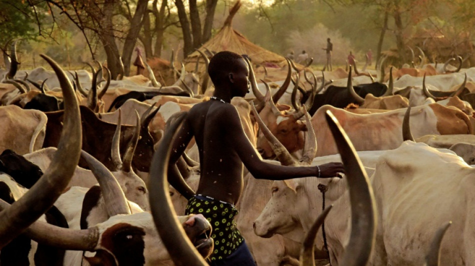 Baerbock besucht Krisenregion in Nordost-Afrika