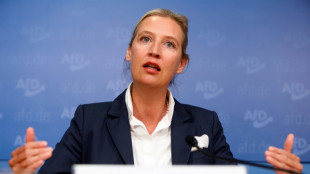 Weidel sieht Brexit als "Modell für Deutschland"