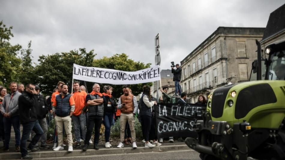 Cognac-Winzer protestieren in Frankreich gegen drohende chinesische Strafzölle