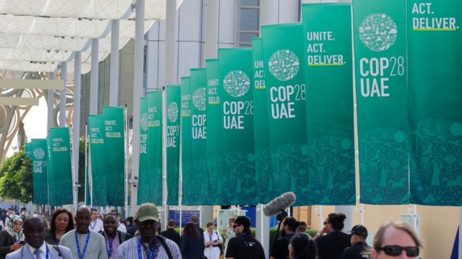 COP28: quand la pollution brouille le ciel de Dubaï, en pleine conférence sur le climat