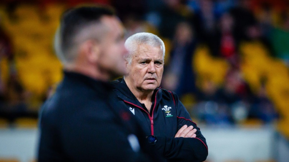 Gatland battling 'pain' during tough Wales rebuild