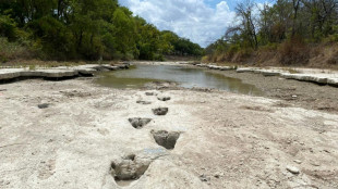 Drought uncovers dinosaur tracks in US park