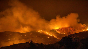 Chypre: huit ans de prison pour un agriculteur responsable d'un incendie meurtrier