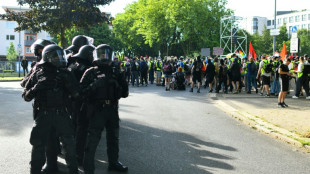 Proteste gegen Parteitag: AfD-Politiker beißt offenbar Demonstranten ins Bein