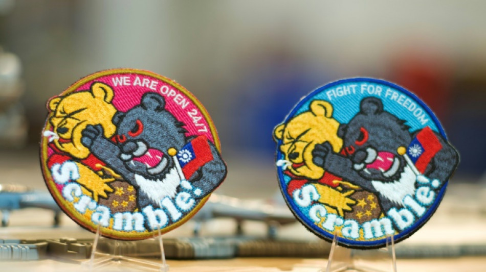 Punching Pooh: unofficial airforce badge all the rage in Taiwan