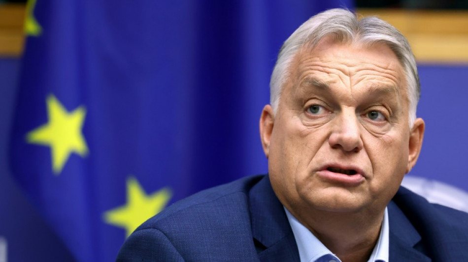  Sparks fly as Orban berates EU 'elites' in parliament trip 