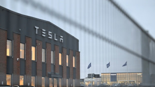 Tesla's Musk says fallout from Sweden strike 'insane'