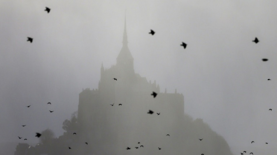 Effondrement des oiseaux en Europe: des chercheurs pointent l'agriculture intensive