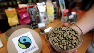 Neuer Umsatzrekord bei Fairtrade-Produkten - Absatz geht zurück