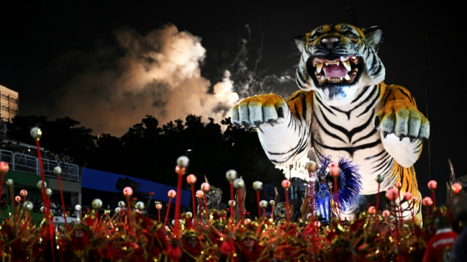 'Everyone jumping, everyone happy': Rio celebrates carnival