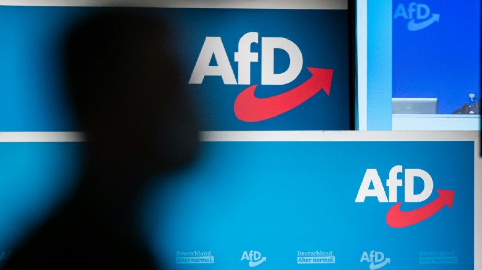 "Welt": AfD schließt EU-Abgeordneten Fest wegen nicht bezahlter Beiträge aus