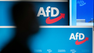 AfD-Chefin Weidel trennt sich nach Potsdamer Treffen von Referent