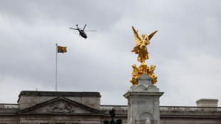 Un hombre detenido tras chocar un automóvil contra la verja de Buckingham Palace