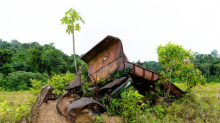 Guyane: vaste opération pour faire fuir les chercheurs d'or clandestins